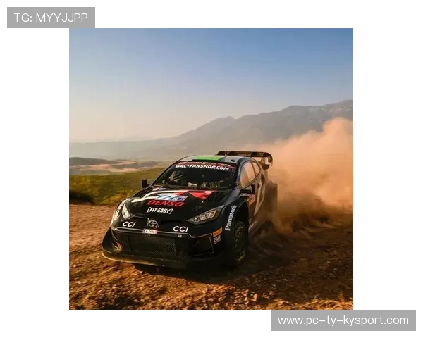 WRC车队全纪录：幕后艰辛与辉煌瞬间，wrc参赛车队2020