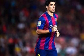 格林伍德展现稳固防守，助袋鼠队保持强大竞争力，格林伍德为什么绝版