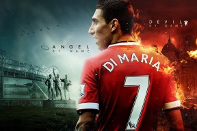 南非仰泳老将状态回暖，南非蛙泳