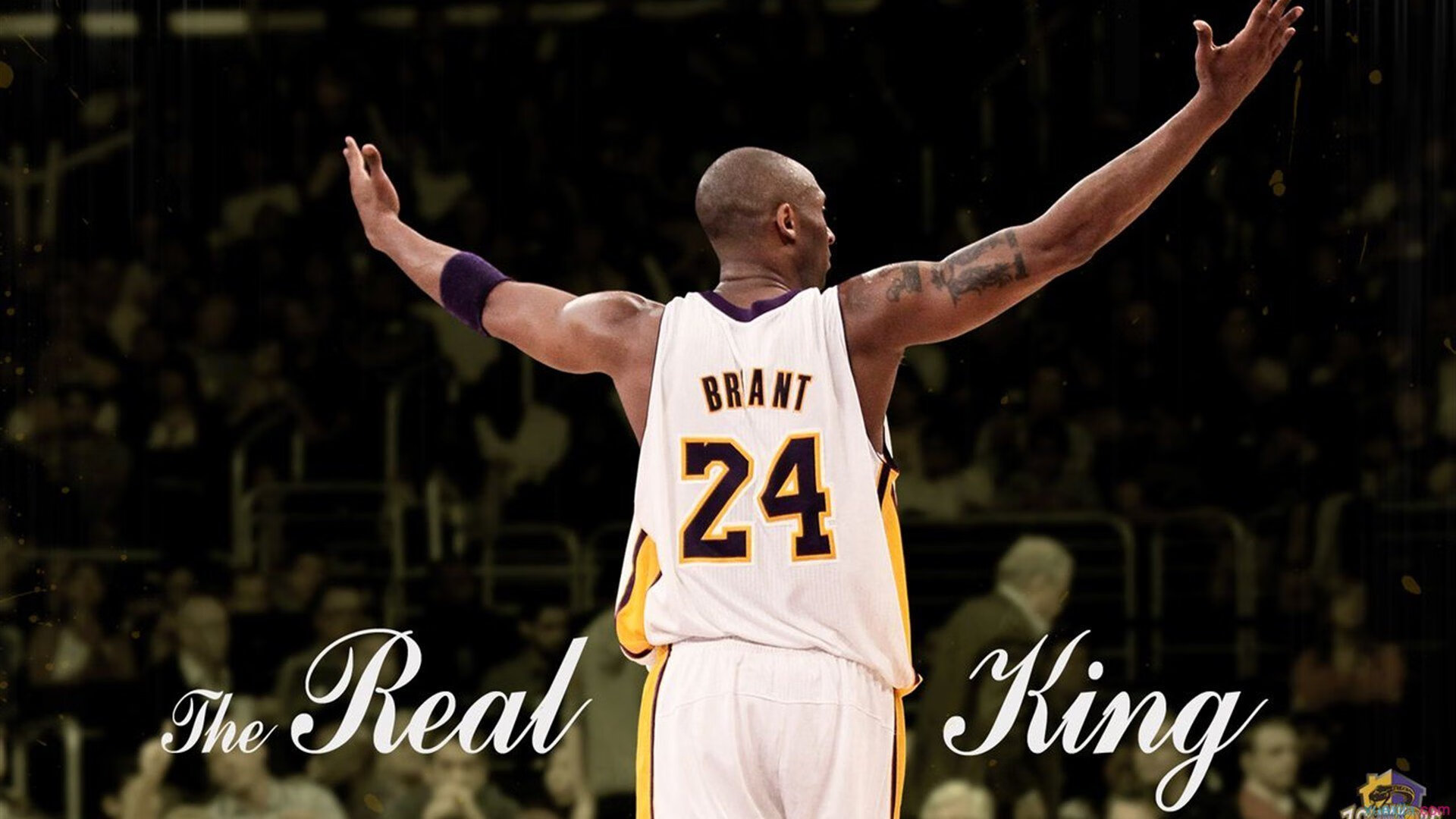 希腊女篮在欧洲锦标赛中再夺金牌，继续写就荣耀篇章，希腊女球迷